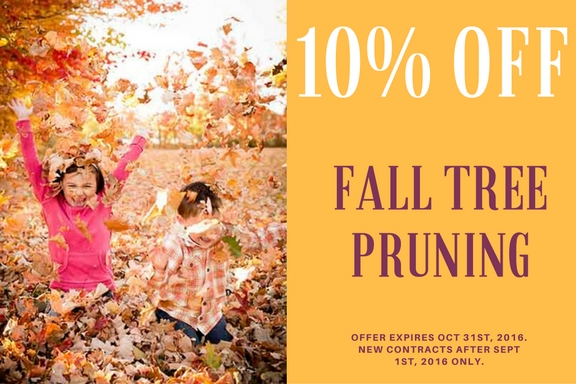 10% off tree pruning - tree service coupon