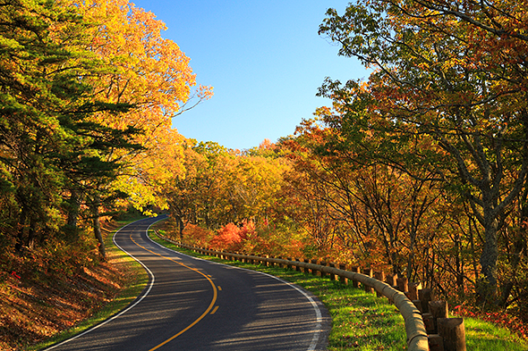 guide to fall colors - skyline drive