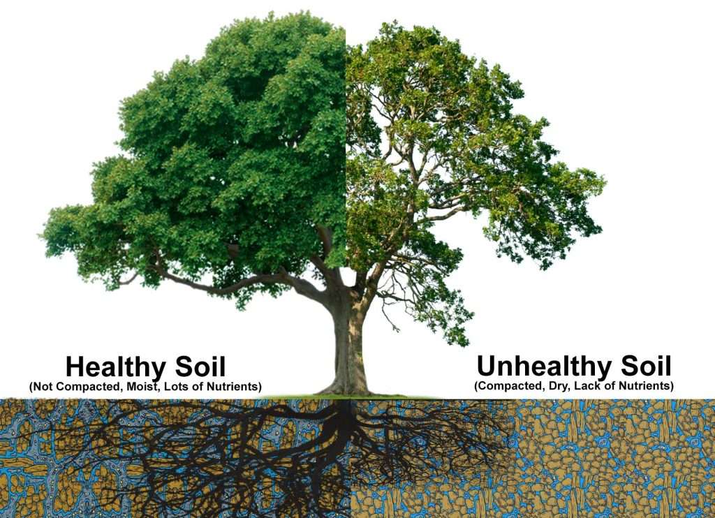 Soil & Root Health Get Your Soil & Roots