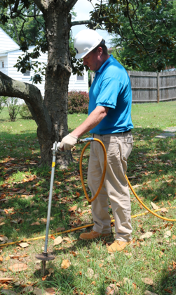 biostimulant treatment being applied by one of our tree doctors, treating root system for tree