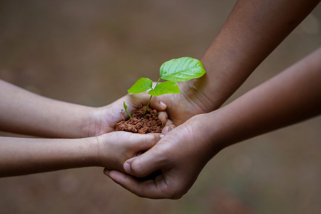 Hands holding sapling; don't use tree fertilizer for this