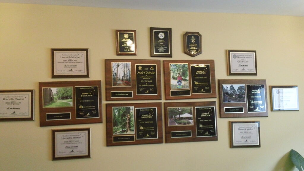 Award plaques on wall showing RTEC's many achievements
