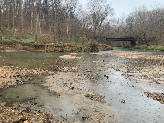 Rock Creek Park Waterway Restoration: How to Prevent Erosion