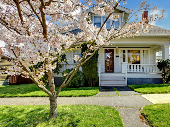 A single cherry blossom in front of a house.