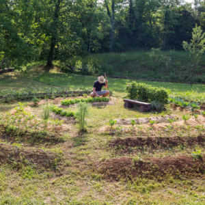 Permaculture ring